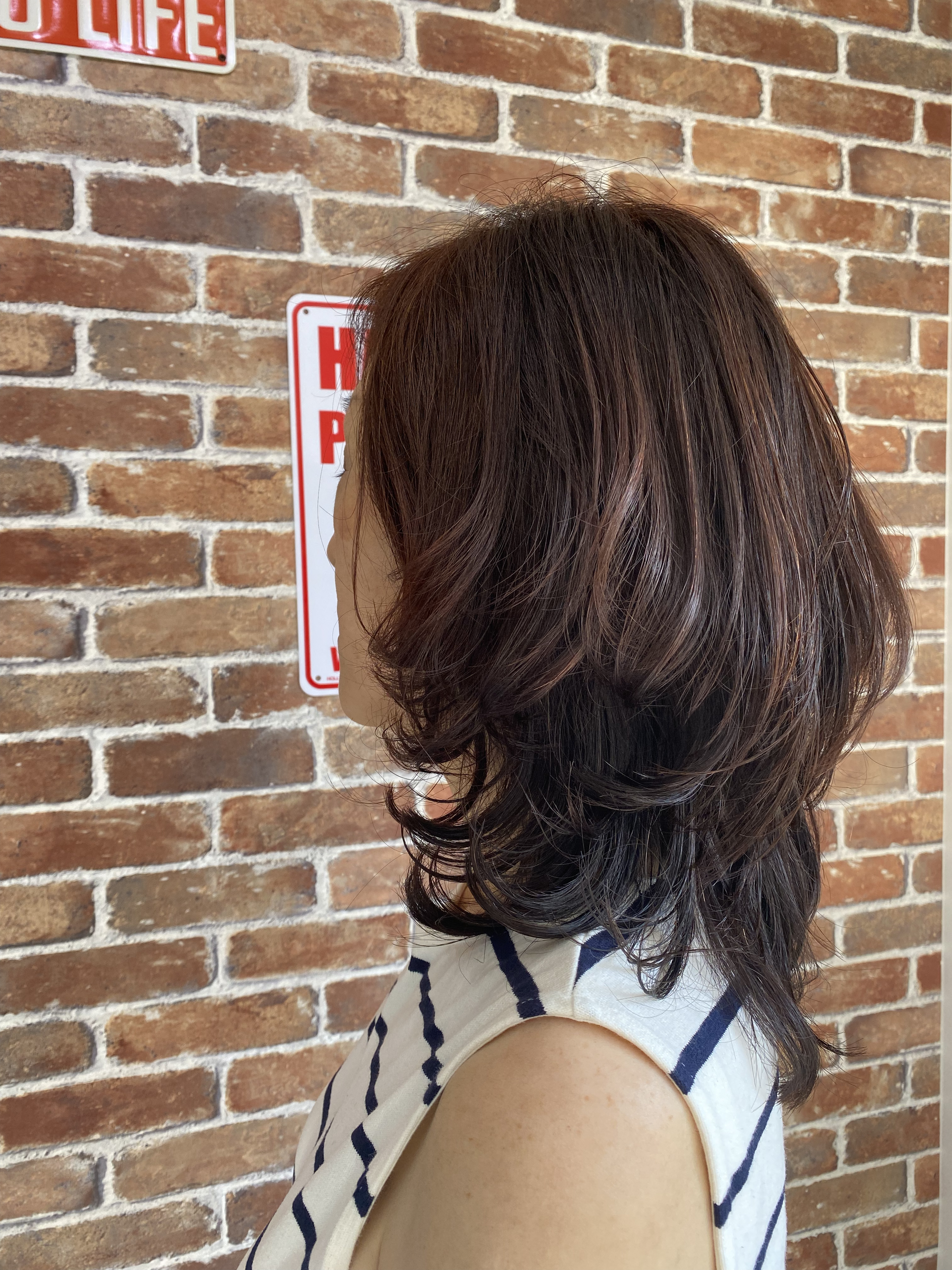 longhair